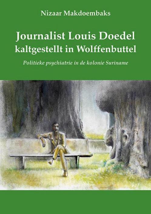 9789076286303 Journalist Louis Doedel kaltgestellt in Wol..., Boeken, Studieboeken en Cursussen, Nieuw, Verzenden