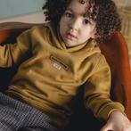 Trui hoodie (dusty yellow), Kinderen en Baby's, Kinderkleding | Maat 92, Nieuw, Jongen, Trui of Vest, Daily7
