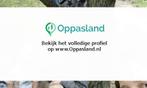 Lieke zoekt een oppas in Uitgeest voor 4 kinderen op woen...