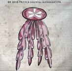 Conrad Gesner [Konrad Gessner] 1516-1565: Fischbuch: