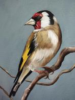 Franco Bencivenga (1953) - Cardellino, Antiek en Kunst, Kunst | Schilderijen | Klassiek