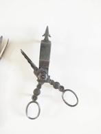 Grasoli Germany (1) - Schaar - met rozijnen en twee muggen -