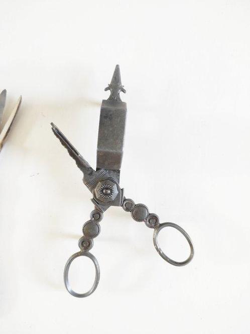 Grasoli Germany (1) - Schaar - met rozijnen en twee muggen -, Antiek en Kunst, Curiosa en Brocante