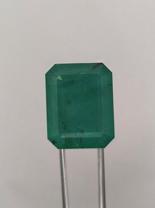 1 pcs Smaragd - 27.79 ct - International Gemological, Sieraden, Tassen en Uiterlijk, Edelstenen