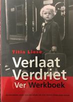 Verlaat Verdriet (Ver)Werkboek / FunFocus / 2 9789078163022, Verzenden, Gelezen, E. Pronk