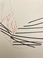 Jan van Oost (1961) - Baudelaire Project