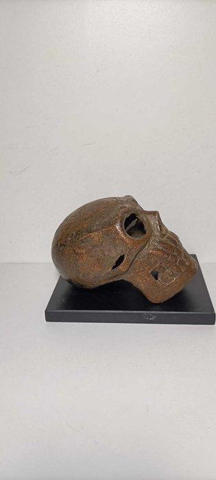 Menselijk schedel - Igbo - Nigeria (Zonder Minimumprijs), Antiek en Kunst, Kunst | Niet-Westerse kunst