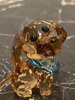 Swarovski - Beeldje - Puppy - Milo the Dachshund - 5063336 -