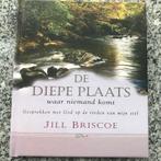 De diepe plaats waar niemand komt  (Jill Briscoe), Boeken, Gelezen, Jill Briscoe, Christendom | Katholiek, Verzenden