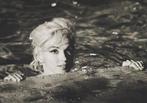Lawrence Schiller - Marilyn Monroe Somethings Got To Give