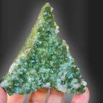 Epidoot en Kwarts Kristallen op matrix - Hoogte: 10 cm -, Verzamelen, Mineralen en Fossielen