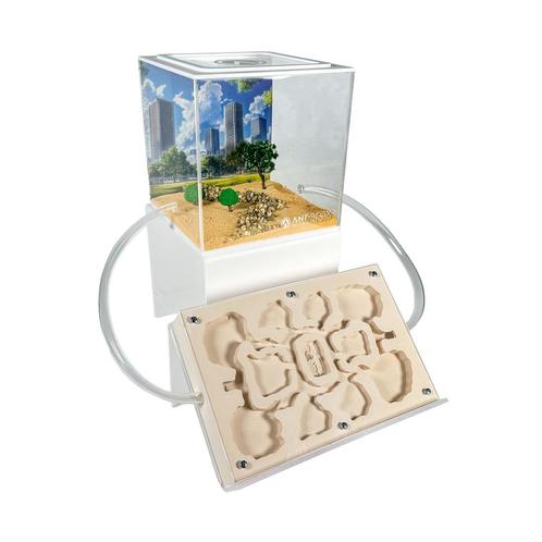 Premium Messor Set 100+, Dieren en Toebehoren, Insecten en Spinnen