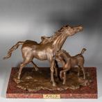 Moeder- en veulensculptuur — Liefde voor de Aarde - Brons