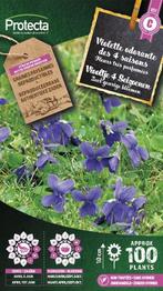 Protecta Bloemen zaden: Viooltje 4 Seizoenen, Ophalen of Verzenden