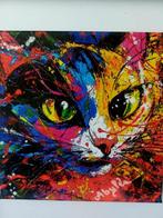 ABYLEA - CHAT COLORE