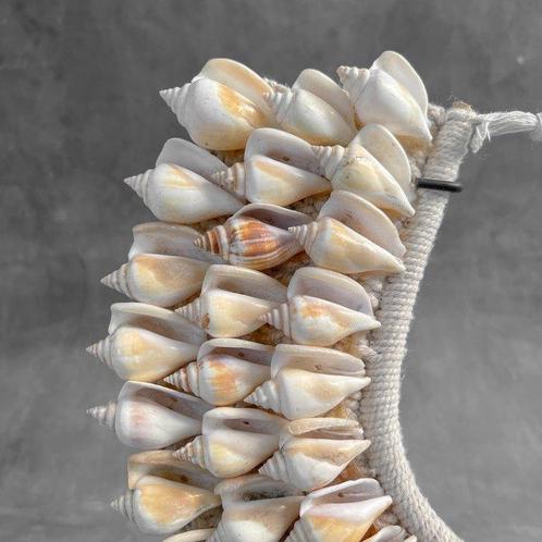 Decoratief ornament - Indonesië - Schelpketting met, Antiek en Kunst, Kunst | Designobjecten