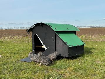 Kunststof Kippenhok - Nestera Medium Grondmodel beschikbaar voor biedingen