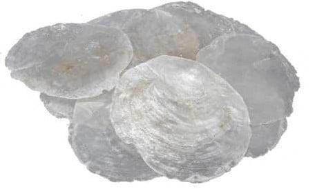 Capiz Shell Camar schelpen 5-10 cm 1 kilo, Hobby en Vrije tijd, Knutselen, Nieuw, Ophalen of Verzenden