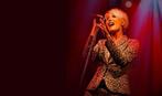 Dana Winner Tickets, Tickets en Kaartjes, Evenementen en Festivals