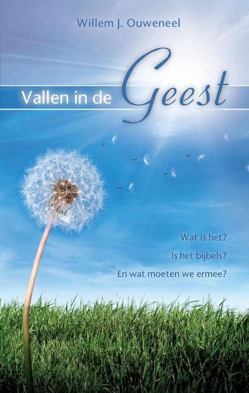 Vallen in de Geest 9789075226898 Willem J. Ouweneel, Boeken, Godsdienst en Theologie, Zo goed als nieuw, Verzenden