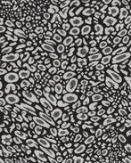 Jacquard Panter Artistiek Zwart, Hobby en Vrije tijd, Stoffen en Lappen, Nieuw, Zwart