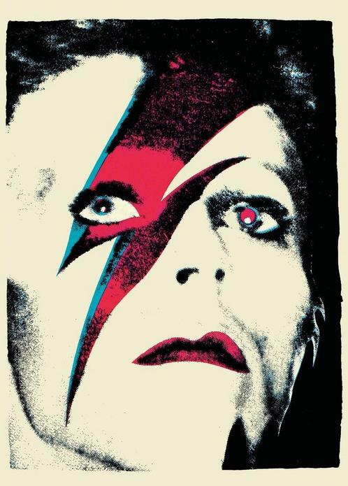 Posters - Poster Bowie, David - Ziggy Stardust, Verzamelen, Muziek, Artiesten en Beroemdheden, Zo goed als nieuw, Verzenden