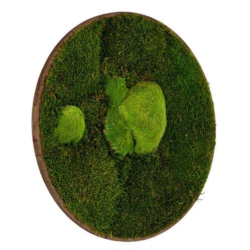 Vintlux Mosschilderij Rond Donker Eiken - Esbjerg, Huis en Inrichting, Woonaccessoires | Wanddecoraties