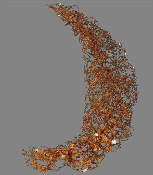 Renata Giannelli - LUNA, Antiek en Kunst, Kunst | Designobjecten