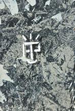 Alexandre Petrus (1988) - CHARLEMAGNE, Antiek en Kunst, Kunst | Schilderijen | Modern