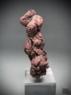 Grote versteende poep - Fossiel fragment - Coprolite on