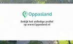 Ik ben Marga en ik zoek oppaswerk in Opheusden.