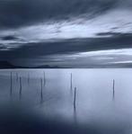 Michael Kenna (1953) - Sticks in Water, Shinji Lake, Honshu,