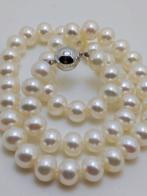 Zonder minimumprijs - Kralensnoer - 14 karaat Witgoud Parel