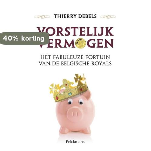 Vorstelijk vermogen 9789028979000 Thierry Debels, Boeken, Politiek en Maatschappij, Gelezen, Verzenden