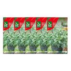 Salie zaad | VT | 5 stuks, Verzenden