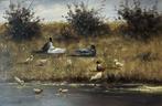 antoon zonnevelt - Voorjaarslandschap met eendenfamilie