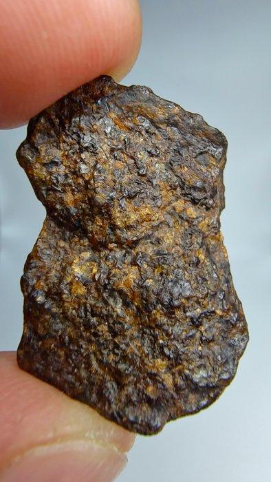 Lodranite Meteoriet. NWA 17904. De meteoriet is een, Verzamelen, Mineralen en Fossielen