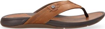 Reef Slippers Mannen - Maat 43 beschikbaar voor biedingen