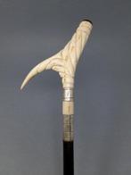 Wandelstok - Wit metaal - Arabesque bothandvat