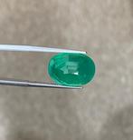 Zonder Minimumprijs Groen Smaragd - 12.13 ct - Lotus, Nieuw