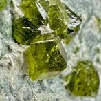 Andradite var Demantoide Van de antieke collectie, met, Verzamelen, Mineralen en Fossielen