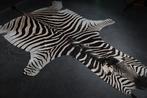 NO Reserve Price ZEBRASKIN Taxidermie volledige montage -, Nieuw