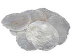 Capiz shell camar schelpen 1 kilo 5-10 cm, Ophalen of Verzenden, Nieuw