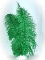 Spadonis groen, Kleding | Dames, Carnavalskleding en Feestkleding, Ophalen of Verzenden, Nieuw