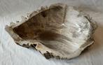Kom - Bowl - versteend hout, Antiek en Kunst, Curiosa en Brocante