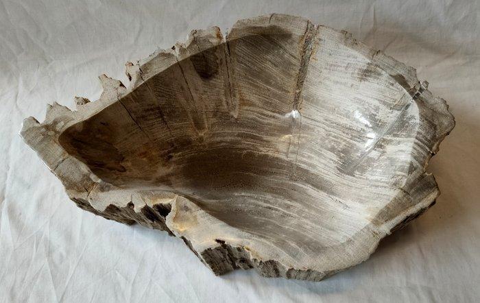 Kom - Bowl - versteend hout, Antiek en Kunst, Curiosa en Brocante