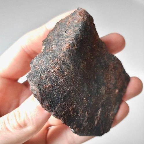SaU 001. Klassieke Omaanse meteoriet. L5 chondriet - 170 g, Verzamelen, Mineralen en Fossielen
