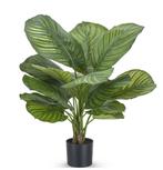 Kunstplant Calathea Fasciata | 53 cm, Ophalen, Nieuw