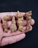 Verse dinosauruspoep - Gefossiliseerd dier - Coprolito