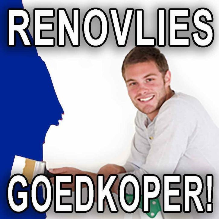 RENOVLIES BEHANGERS PRIJZEN DEZE MAAND VEEL GOEDKOPER !, Diensten en Vakmensen, Schilders en Behangers